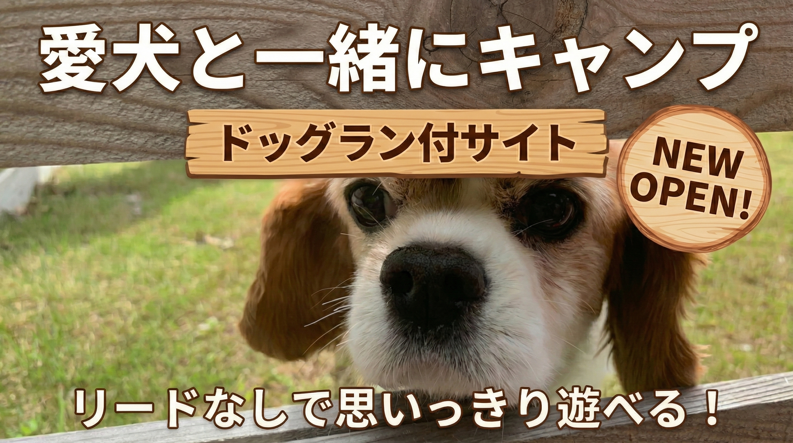 ドッグランサイト