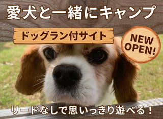 ドッグランサイト